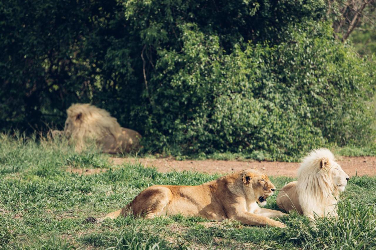 Sofala Lodge Mokopane Dış mekan fotoğraf