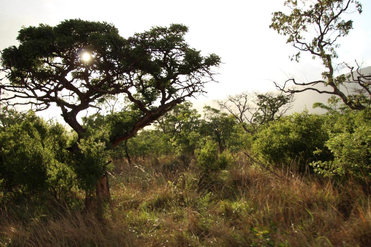 Sofala Lodge Mokopane Dış mekan fotoğraf